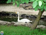 Roman Hynek, 01.06. 2011