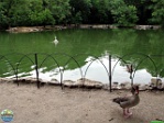 Roman Hynek, 01.06. 2011