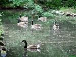 Roman Hynek, 01.06. 2011