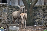 Alex Kantorovich, 21.03. 2016 Alex Kantorovich, 21.03. 2016