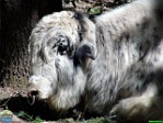 Roman Hynek, 29.05. 2011