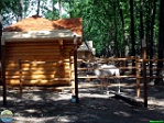 Roman Hynek, 29.05. 2011