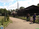 Roman Hynek, 24.05. 2009