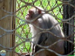 Roman Hynek, 29.05. 2011