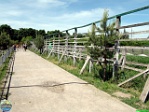 Roman Hynek, 29.05. 2011