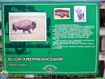 Roman Hynek, 29.05. 2011